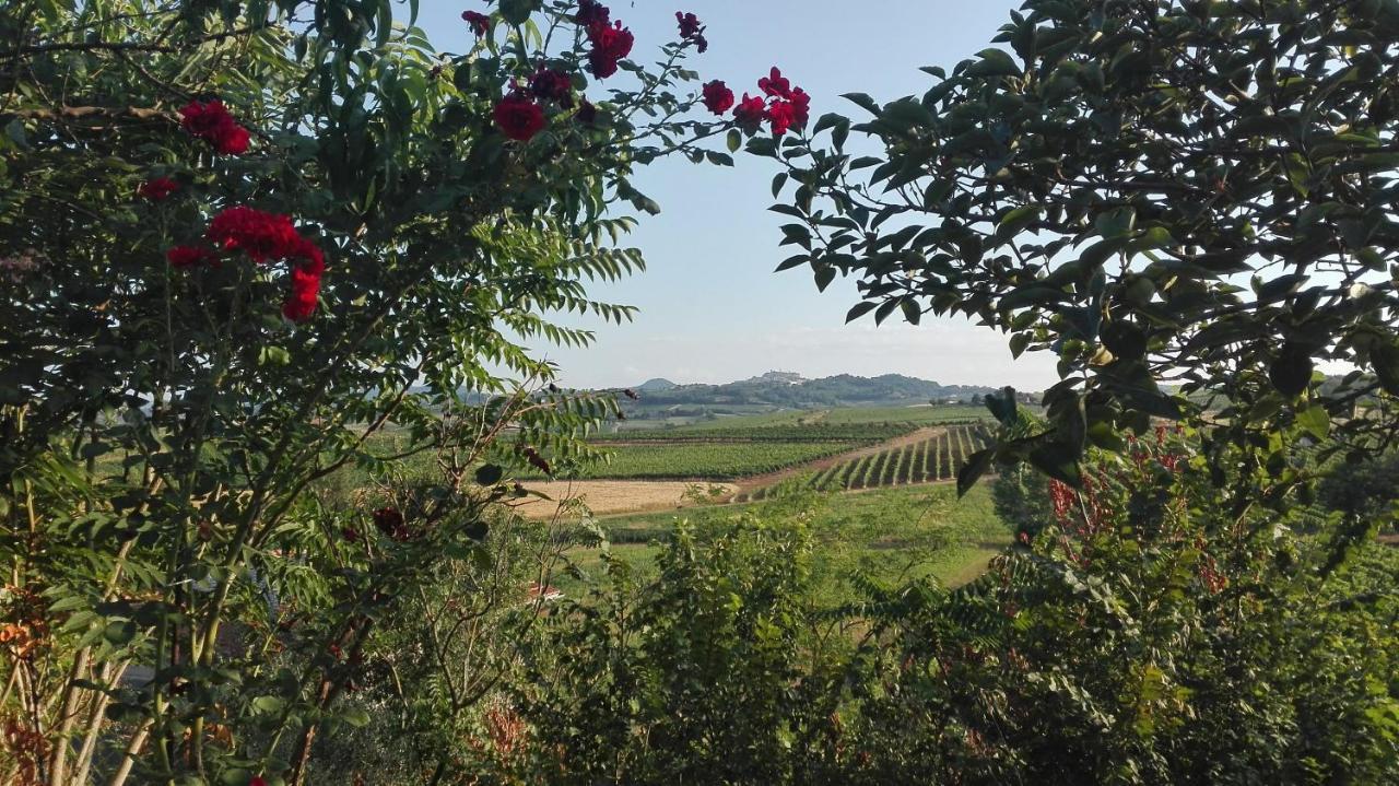 Agriturismo La Chiesina 阿巴迪蒙提帕克 外观 照片