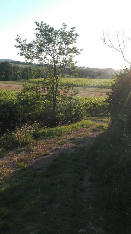 Agriturismo La Chiesina 阿巴迪蒙提帕克 外观 照片