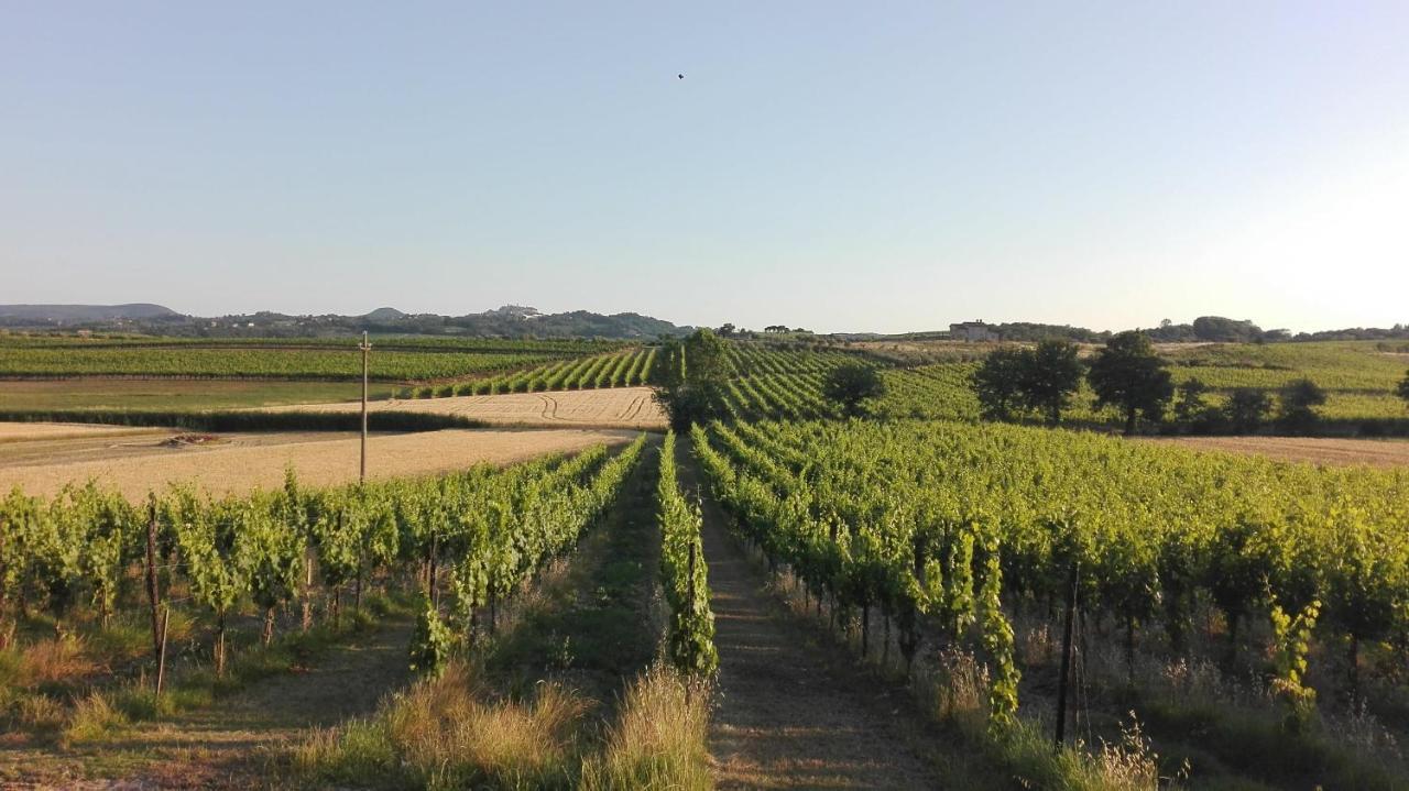 Agriturismo La Chiesina 阿巴迪蒙提帕克 外观 照片